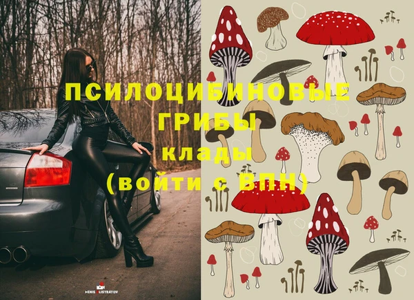 прущая мука Михайлов