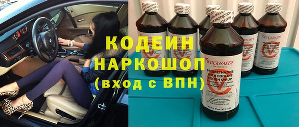 молекула духа Медвежьегорск
