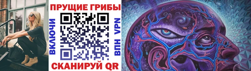 наркошоп Михайловск Псилоцибиновые грибы мицелий