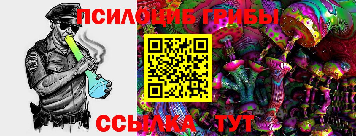 Михайловск  Псилоцибиновые грибы Psilocybe  Вход с VPN 