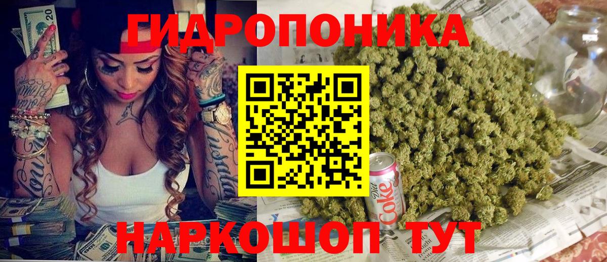 Бошки марихуана сатива  Бошки Шишки план  Конопля марихуана  Михайловск  Вход с VPN 